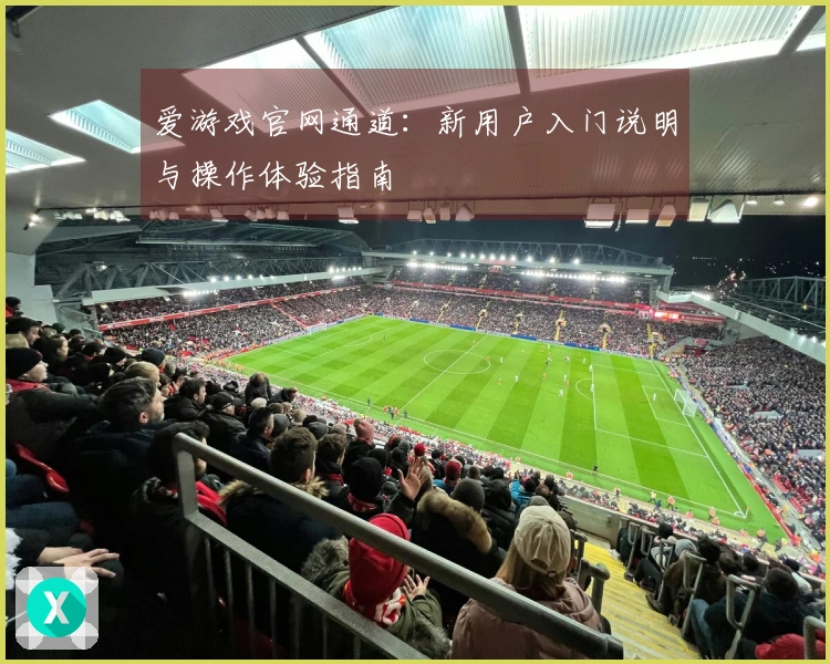 爱游戏官网通道：新用户入门说明与操作体验指南