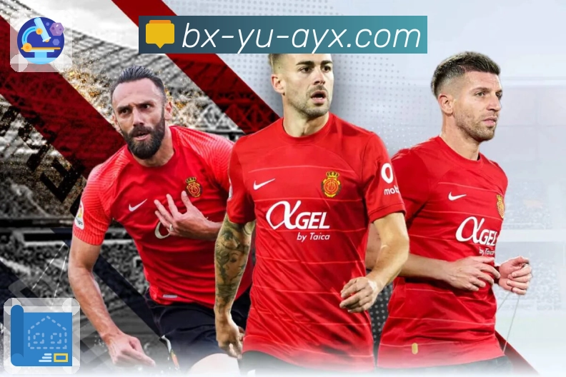 体育直播接口页面结构示意